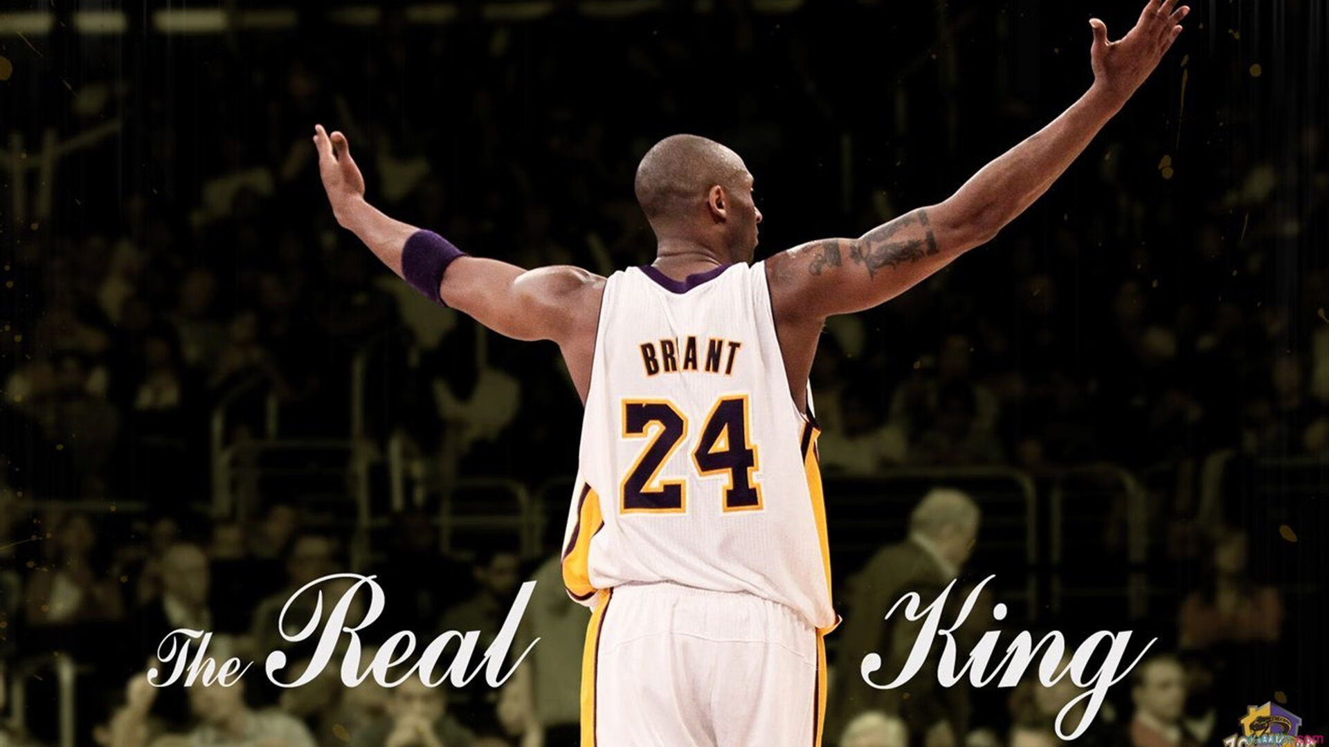 鹈鹕速胜吉林队,英格拉姆成为关键先生